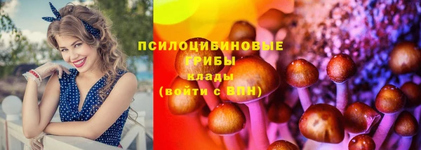 СК Арсеньев