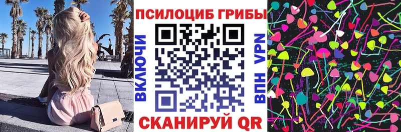 MEGA зеркало Чехов Псилоцибиновые грибы мухоморы купить закладку